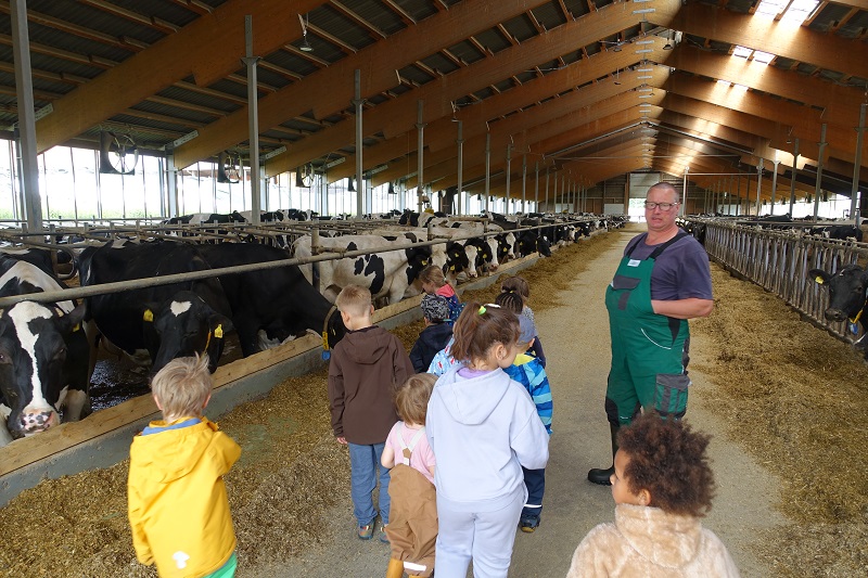 Ausflug zur Luchbergmilch